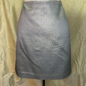 Sleek Silver Silk Ann Taylor Skirt